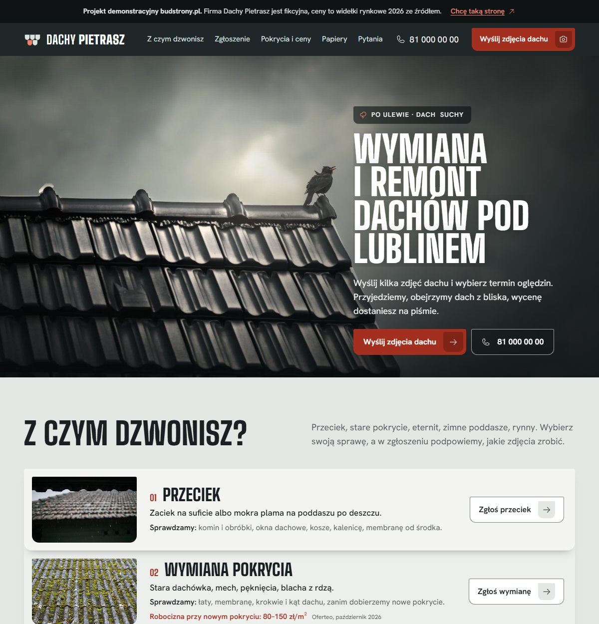 Strona Dachy: Demo branżowe